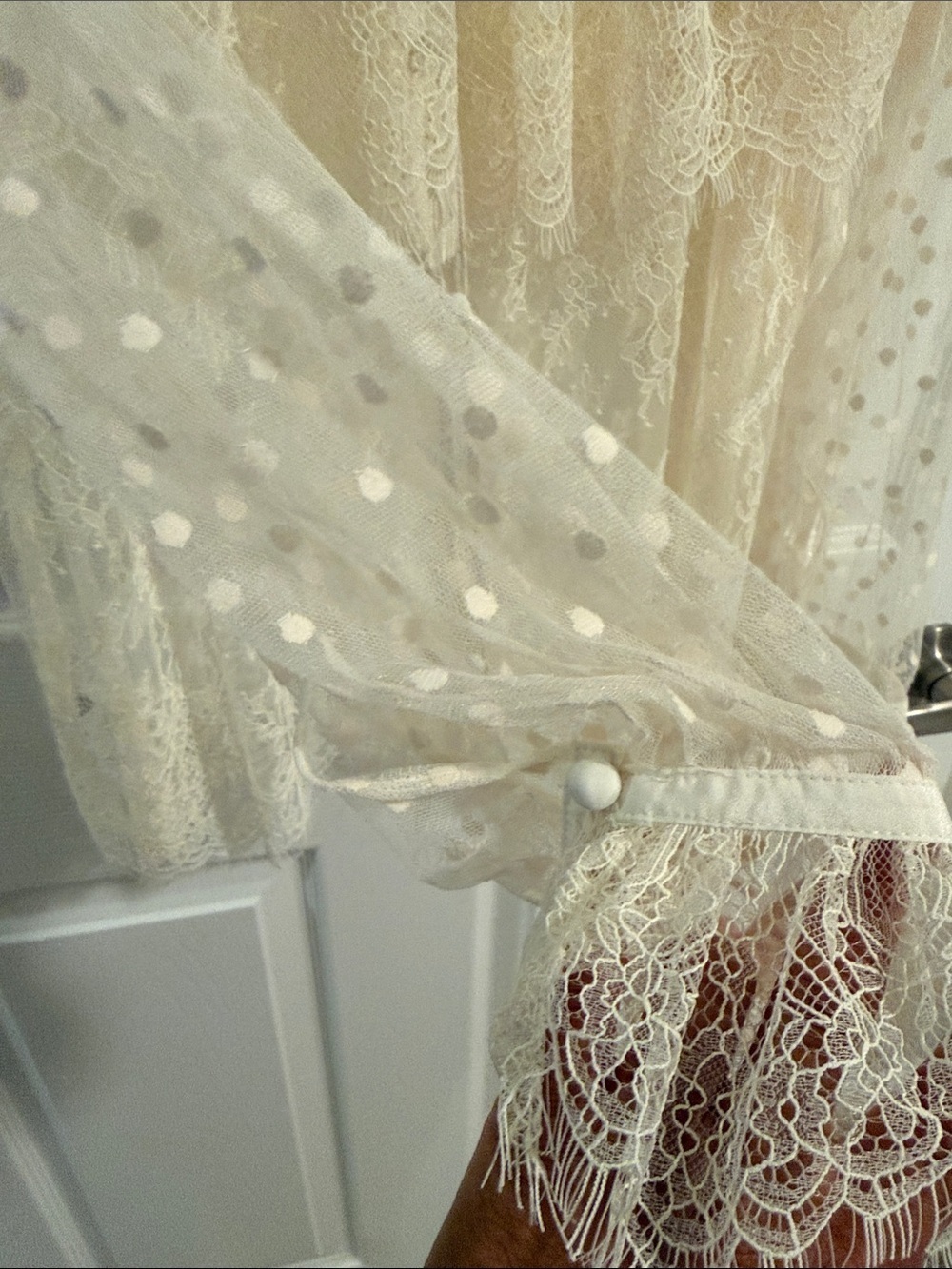 LOFT Cream Lace Button-Front Sheer Blouse - Picture 7 of 9